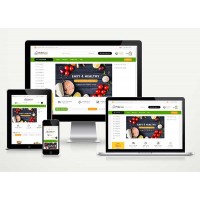 Organik E-Ticaret  Paketi Deal v5.0